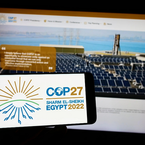 SSI Newsletter image for website (2)-2